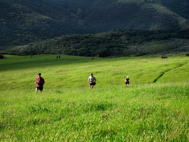 Outstanding in the Field